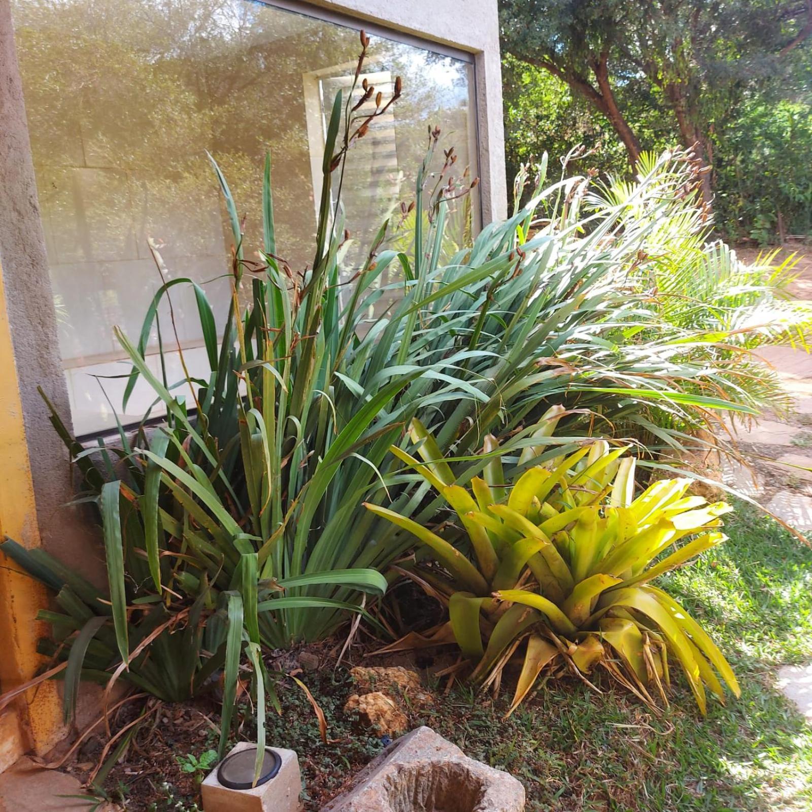 Casas E Apartamentos Da Praia, Lapinha Na Beira Do Lago サンタナ・ド・リアーショ エクステリア 写真